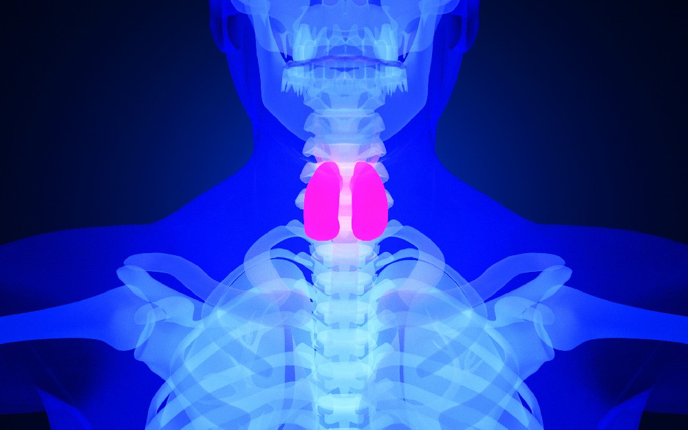 程文主任:如何预防甲状腺癌? 程文主任:如何预防甲状腺癌?