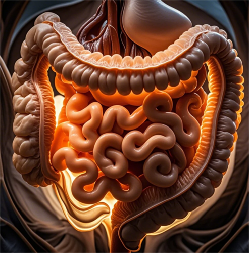 成都治疗直肠癌的医院在哪？成都普济中医药研究院中医门诊部看直肠癌怎么样？