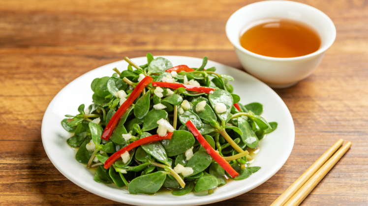 普济中医徐辉：肿瘤患者冬季祛湿毒，3款野菜食疗方助力康复！